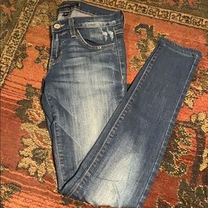 Flying monkey skinny